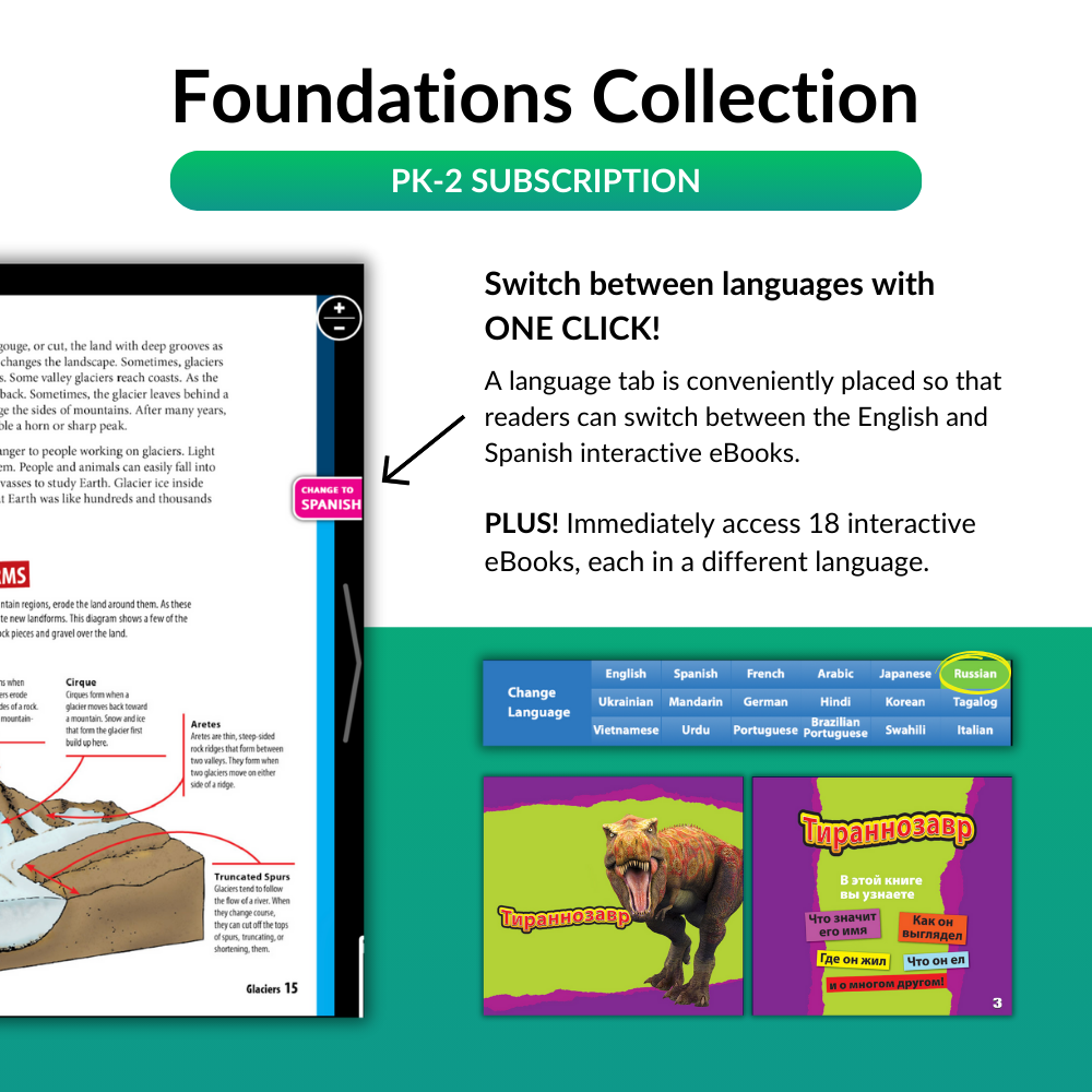 Foundations Collection