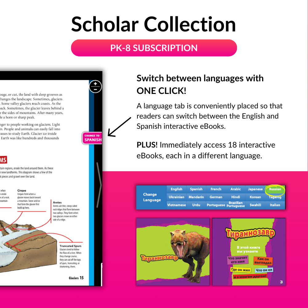 Scholars Collection