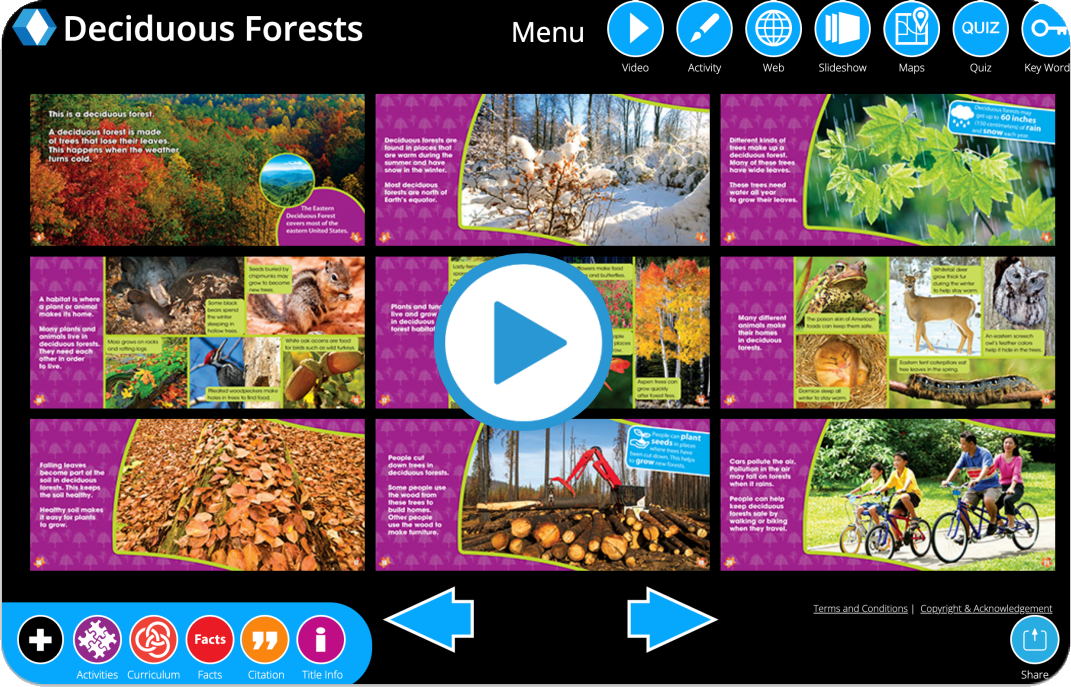 Light Box Learning Explore – Lightbox Learning at Home