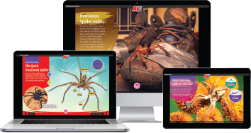 Light Box Learning Landing – Lightbox Learning at Home